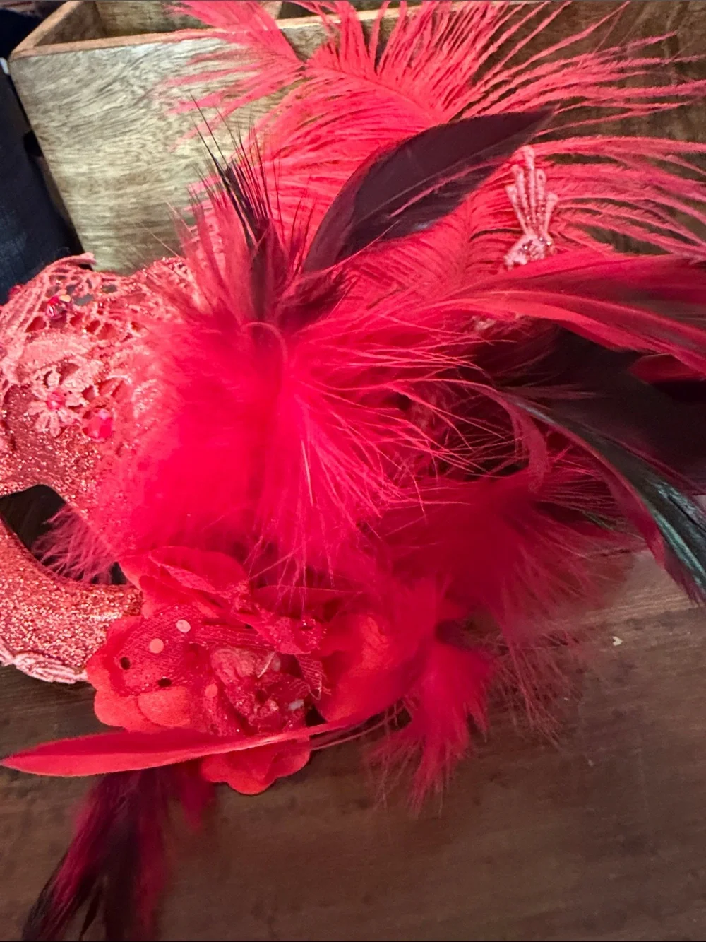 🔴 Red Feathered Lace Masquerade Mask Elegant Party Accessory